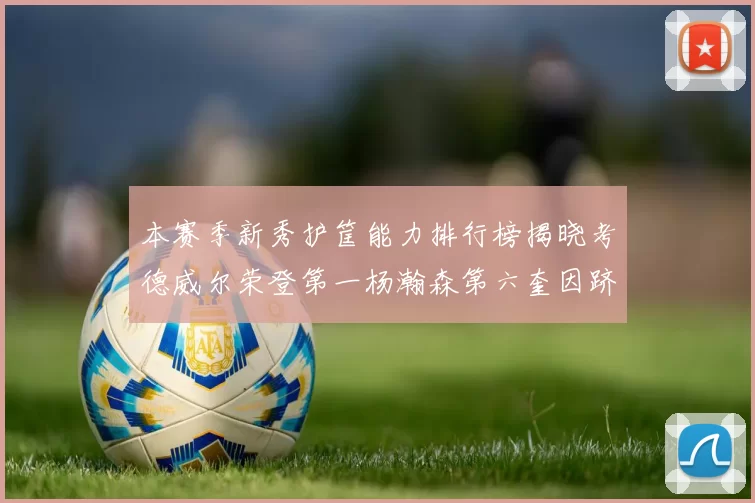 本赛季新秀护筐能力排行榜揭晓考德威尔荣登第一杨瀚森第六奎因跻身前十